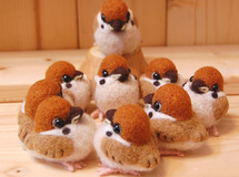 赤ちゃんすずめ