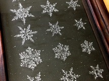 浪漫標本「雪花」　