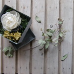 Aroma Flower Rose